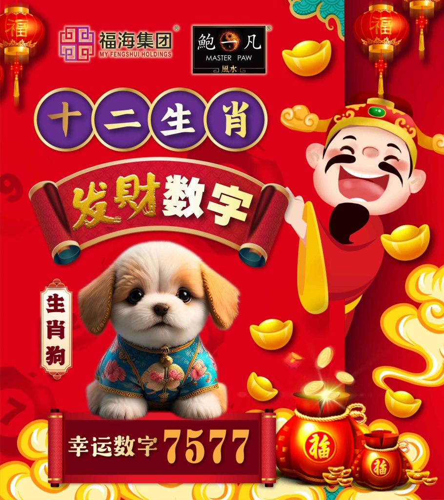 鲍一凡老师| 2025十二生肖发财数字